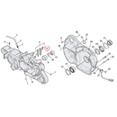 Crankcase Parts Diagram Exploded View for 04-22 Harley Sportster 6) 04-22 XL & XR1200. Screw, oil yet assembly. 8-32 x 3/8" Torx T20. Self tapping. Replaces OEM: 68042-99 & 32617-00Y