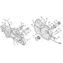 Crankcase Parts Diagram Exploded View for 04-22 Harley Sportster 9) 04-22 XL & XR1200. S&S bearing race, pinion. Replaces OEM: 8881