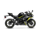 LeoVince LV One Evo Exhaust System for Kawasaki  - Customhoj