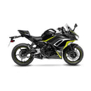 LeoVince LV One Evo Exhaust System for Kawasaki  - Customhoj