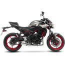 LeoVince LV One Evo Exhaust System for Kawasaki  - Customhoj