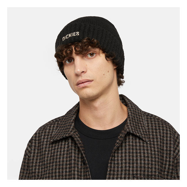 Dickies Harlowtown-hue