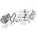 Cam Drive / Cover Parts Diagram Exploded View for Harley Knuckle / Pan / Shovel 15) 36-99 Big Twin. Dowel pin. Replaces OEM: 275