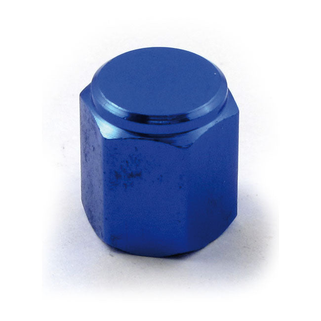 Customhoj Hex Valve Stem Caps Blue