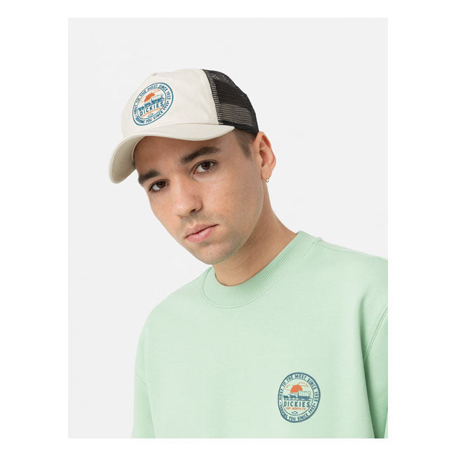 Dickies Greensburg Cap Offwhite