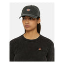 Dickies Hardwick Baseball Cap