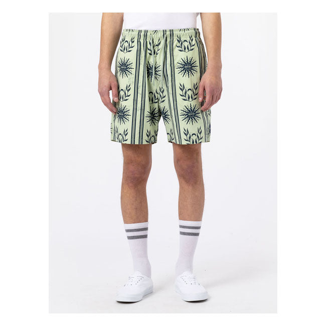 DICKIES Shorts Dickies Kelso shorts Celadon Green Customhoj